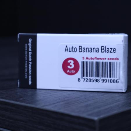 Auto Banana Blaze