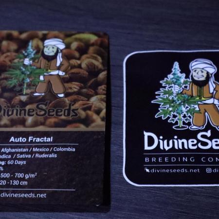 Auto Fractal-Divine Seeds 2025 auto vol2