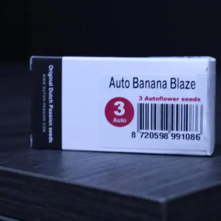 Auto Banana Blaze