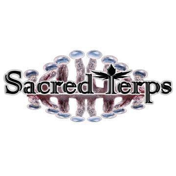 Promotional diarie Sacred Terps