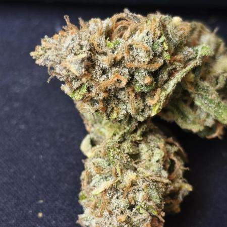 Frozen Black Cherry (Anesia Seeds)