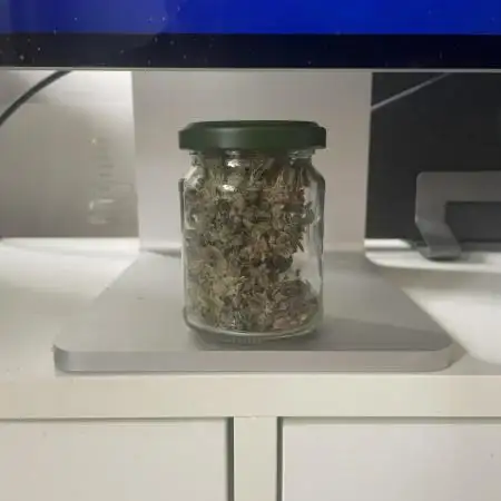 Fantasy Feast - Solo Cup Grow