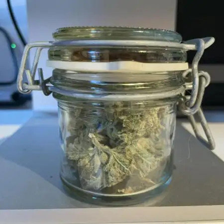 Blue Power Auto F4