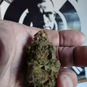 Mix Pack
