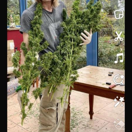 Dutch Oldschool Grow Part B