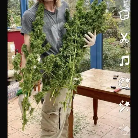 Dutch Oldschool Grow Part B