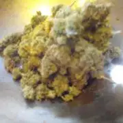 RS11(Rainbow Sherbert 11)Kannabia seeds