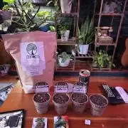 Earthbox 1.0