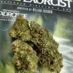 Star Dust: Fresh Coast Seed co.
