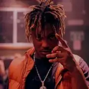 🐻‍❄️Panda vs Gorilla 🦍