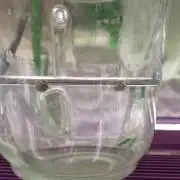 Sweet Seeds Tropicana Poison F1FV