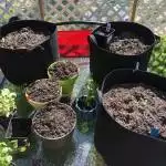 Outdoor ️ 