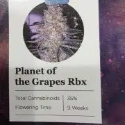 Planet of the Grapes Rbx by Ethos