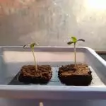 Js grow joirnal
