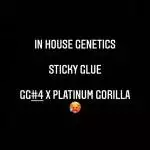 Sticky Glue