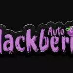 Blackberry fastbuds 