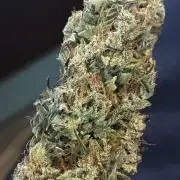 Barney’s farm automatic