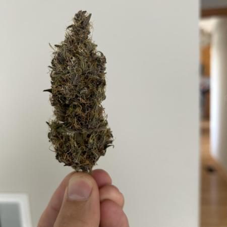 Banana Purple Punch