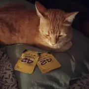 Fast Buds - Lemon Cherry Runtz