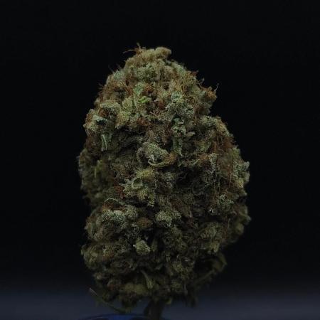 Gelato #44 RQS x TYSON