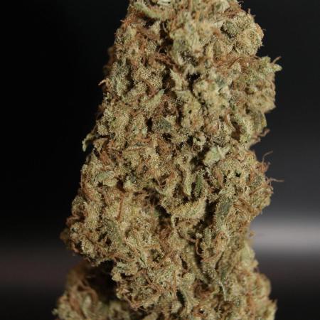 Punch Pie RQS X TYSON