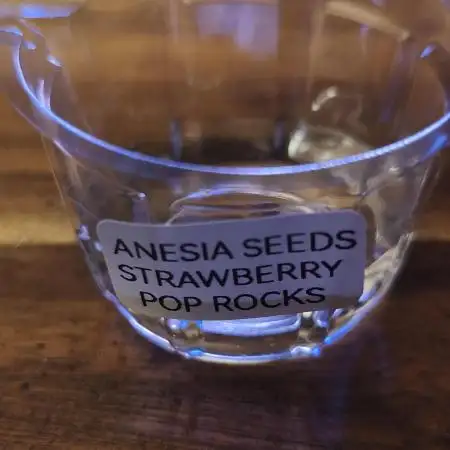 Strawberry pop rocks Anesia Seeds
