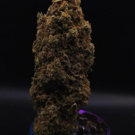 Apple & bananas Kannabia seeds