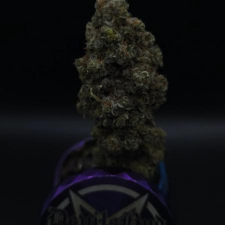 Jelly bean Cocktail  DOM 1th place