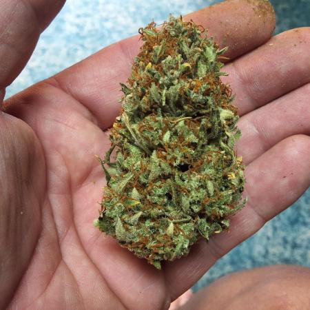 Northern Lights Auto