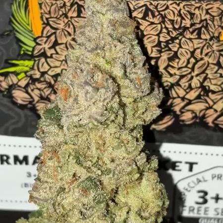 Permanent Marker Mainlining