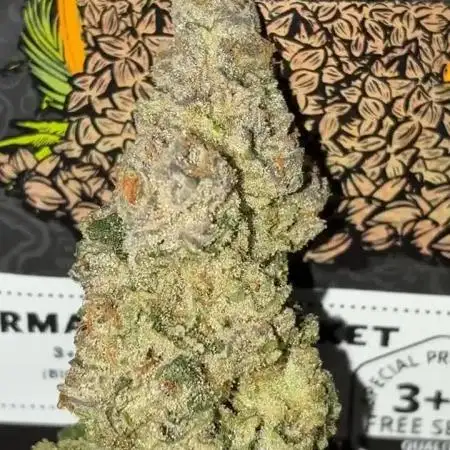 Permanent Marker Mainlining