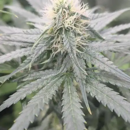 Volvimos😁🌱🌱