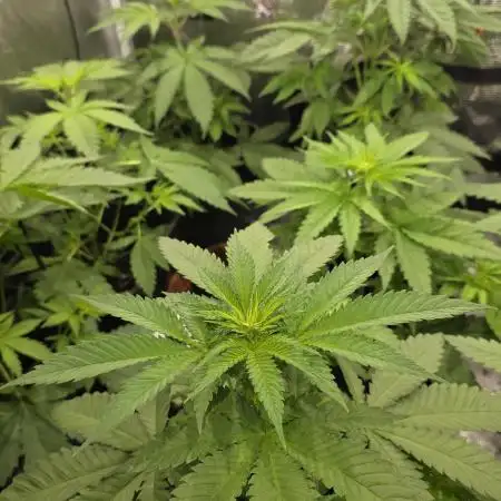 Volvimos😁🌱🌱