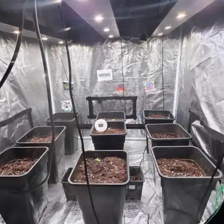 Volvimos😁🌱🌱