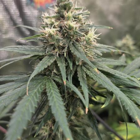 Volvimos😁🌱🌱