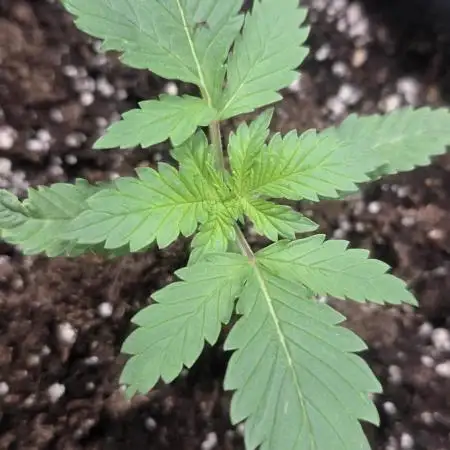 Volvimos😁🌱🌱