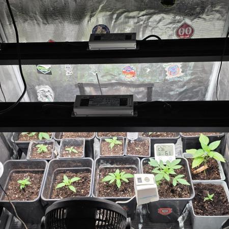 Volvimos😁🌱🌱
