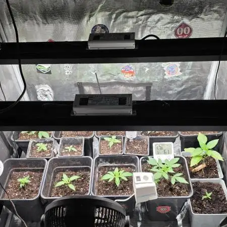 Volvimos😁🌱🌱