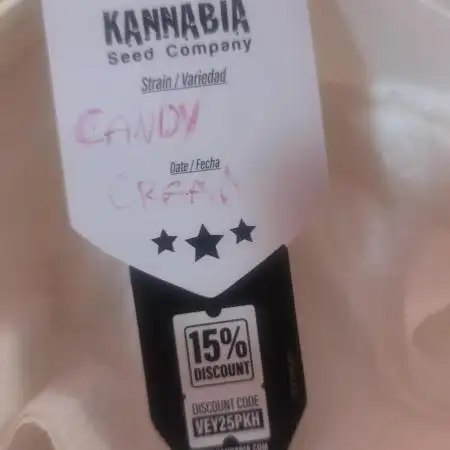Probando las go fast de kannabia