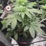 Volvimos😁🌱🌱