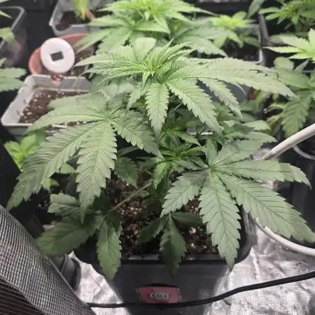 Volvimos😁🌱🌱