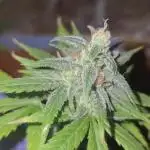 Volvimos😁🌱🌱