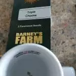 Triple Cheese
