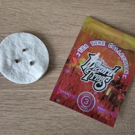 Wizard Trees and Barney's Farm