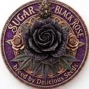 SBR Delicious Seeds Contest