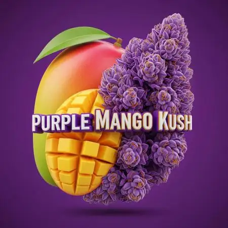 Purple Mango Kush