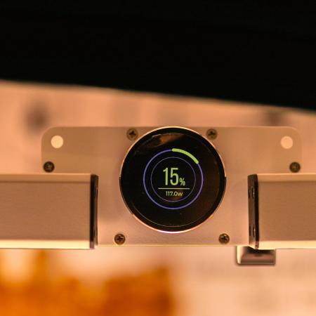 Dutch Blue Auto - Spliff Seeds