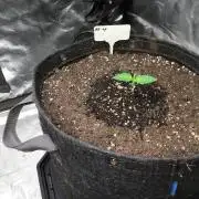 #4 MIX PAC