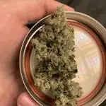 Ignition - Green Rose Seeds