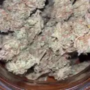 Royal AK A x Tropicana cookies purple A